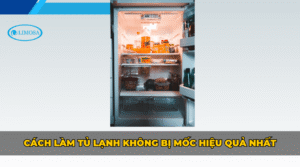 Cách làm tủ lạnh không bị mốc